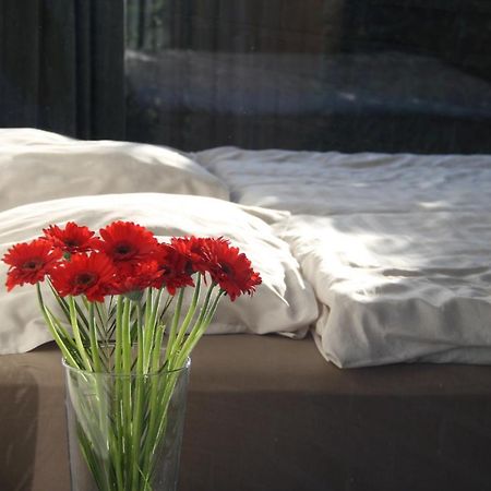 La Chambre D'Amis 伊普尔 外观 照片